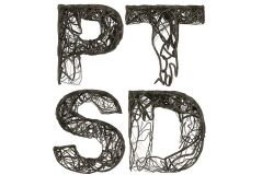 Support and guidance for PTSD recovery and healing